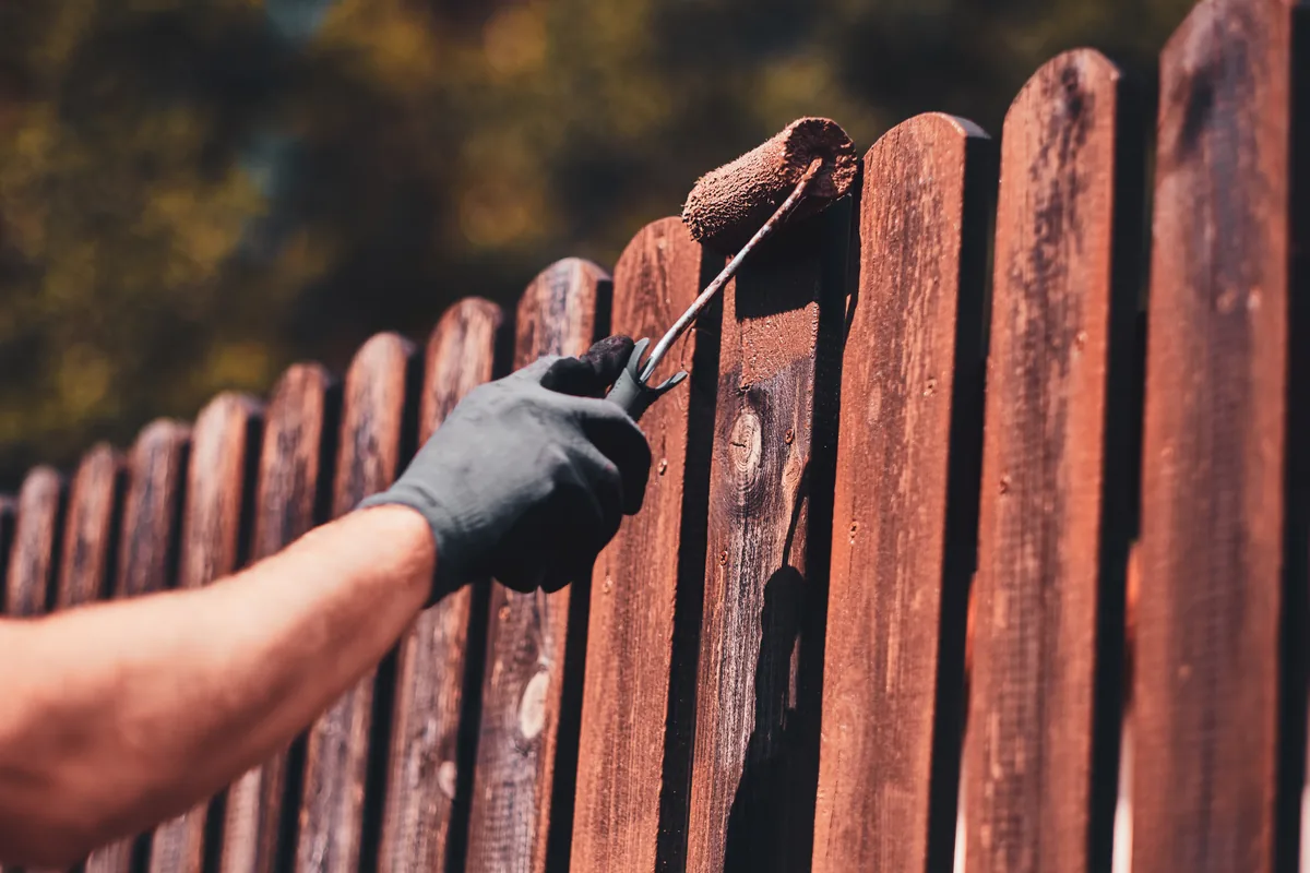 Wood privacy fence being stained with a roller
